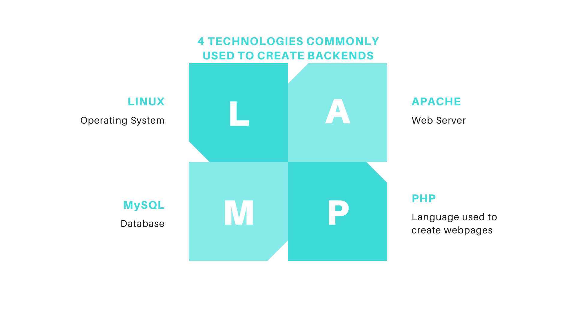 LAMP acronym